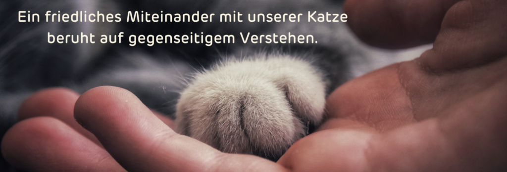 Eine Hand hält sanft eine Katzenpfote, symbolisiert Vertrauen und Zuneigung